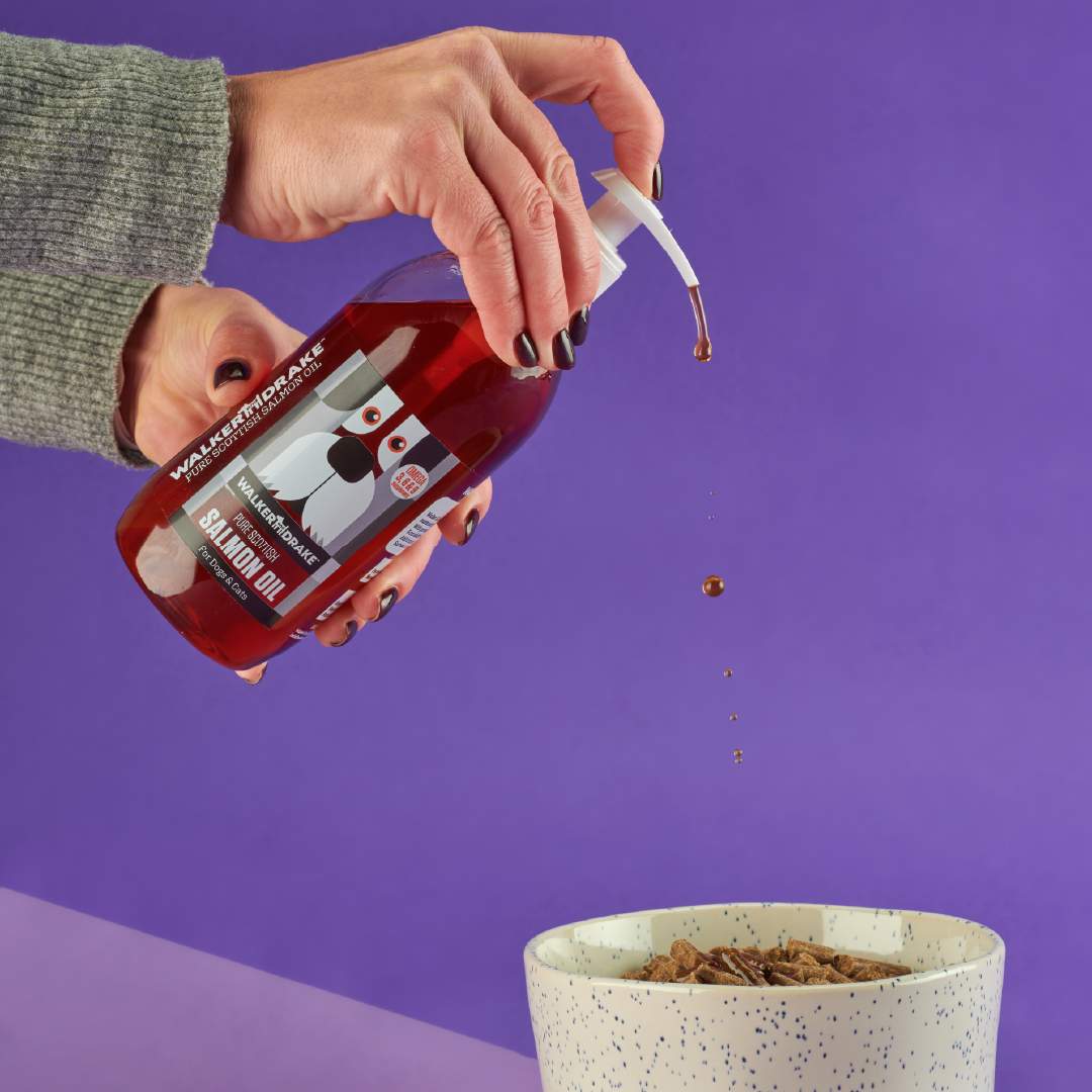 How do I add salmon oil to my dogs diet?