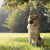 Celebrate Love Parks Week with Your Furry Friend!