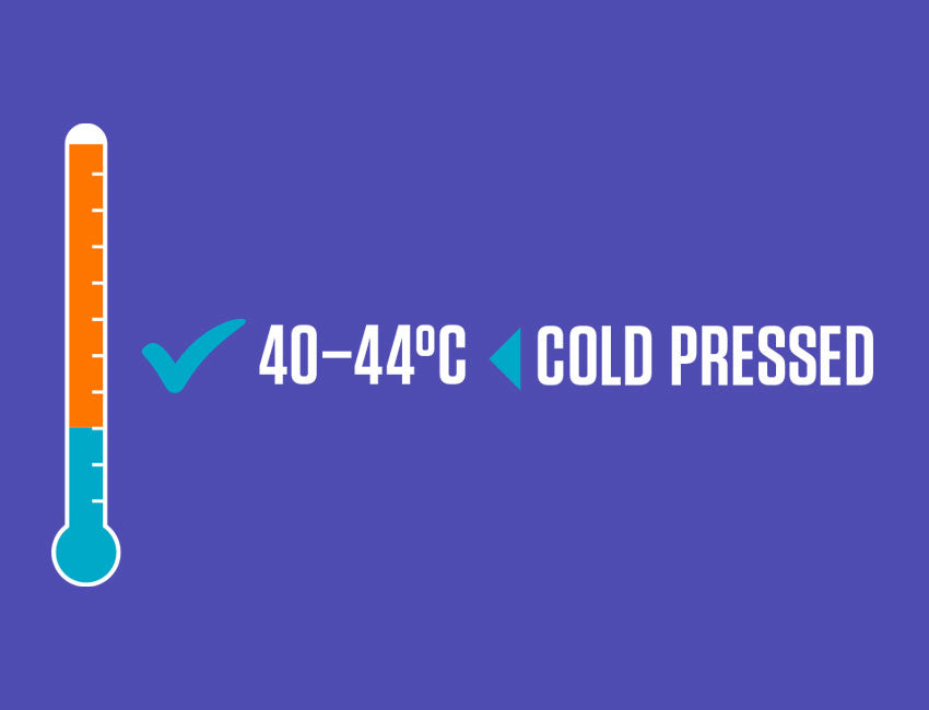 Cold Pressed Cooking Temperature is Lower Than Standard Dry Kibble 