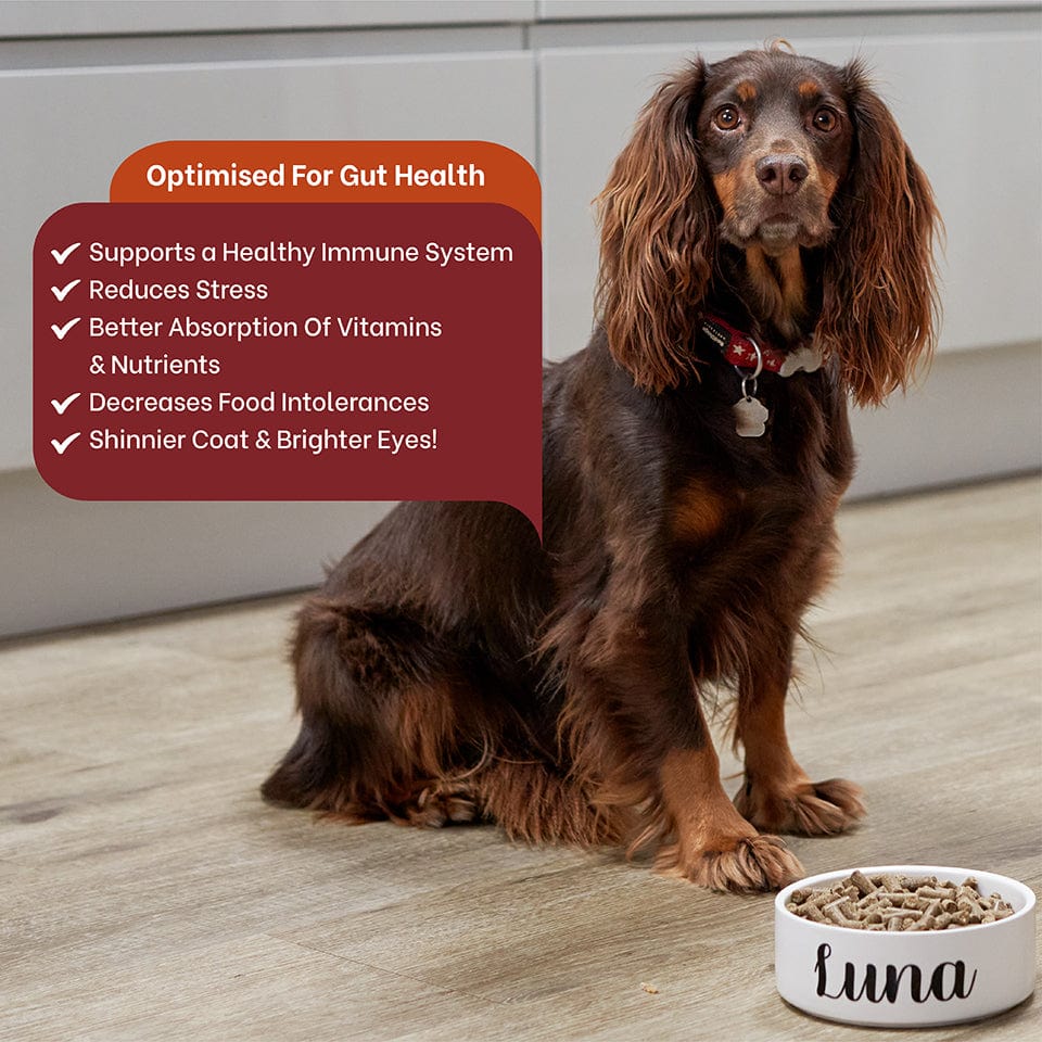 Walker and Drake 6kg Cold Pressed Dog Food - Duck