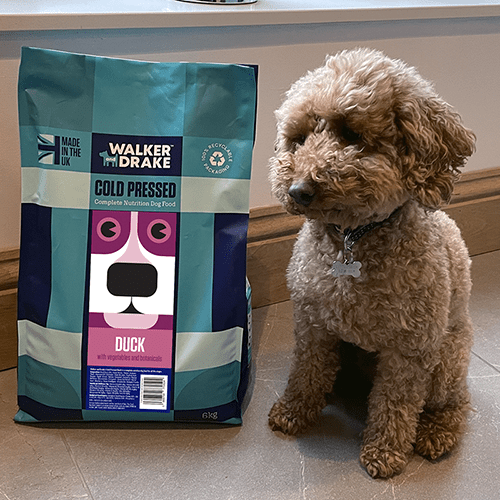 6kg Duck Walker and Drake - Main Image