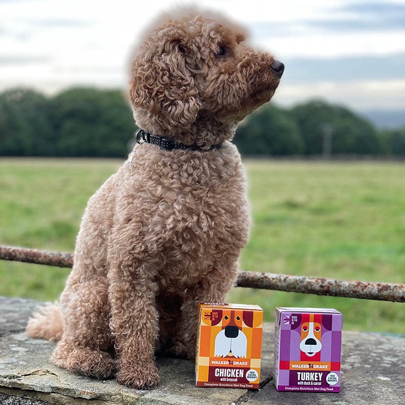 Walker and Drake Mixed Pack of 12 - x6 Chicken with Broccoli, x6 Turkey with Duck & Carrot - 390g 5060750770337 CT468WT071