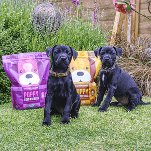 Walker and Drake 6kg (4x1.5kg) Cold Pressed Puppy Food – Mixed Duck & Chicken DC006PU021