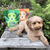 Walker and Drake Small Breed 6kg (4x1.5kg) Cold Pressed Small Breed Dog Food – Turkey with Rice TU006SB021