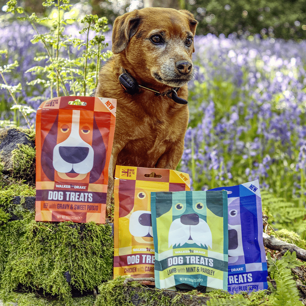 Walker and Drake Walker & Drake Treats, 4x 100g Lamb Dog Treats LB400TR031